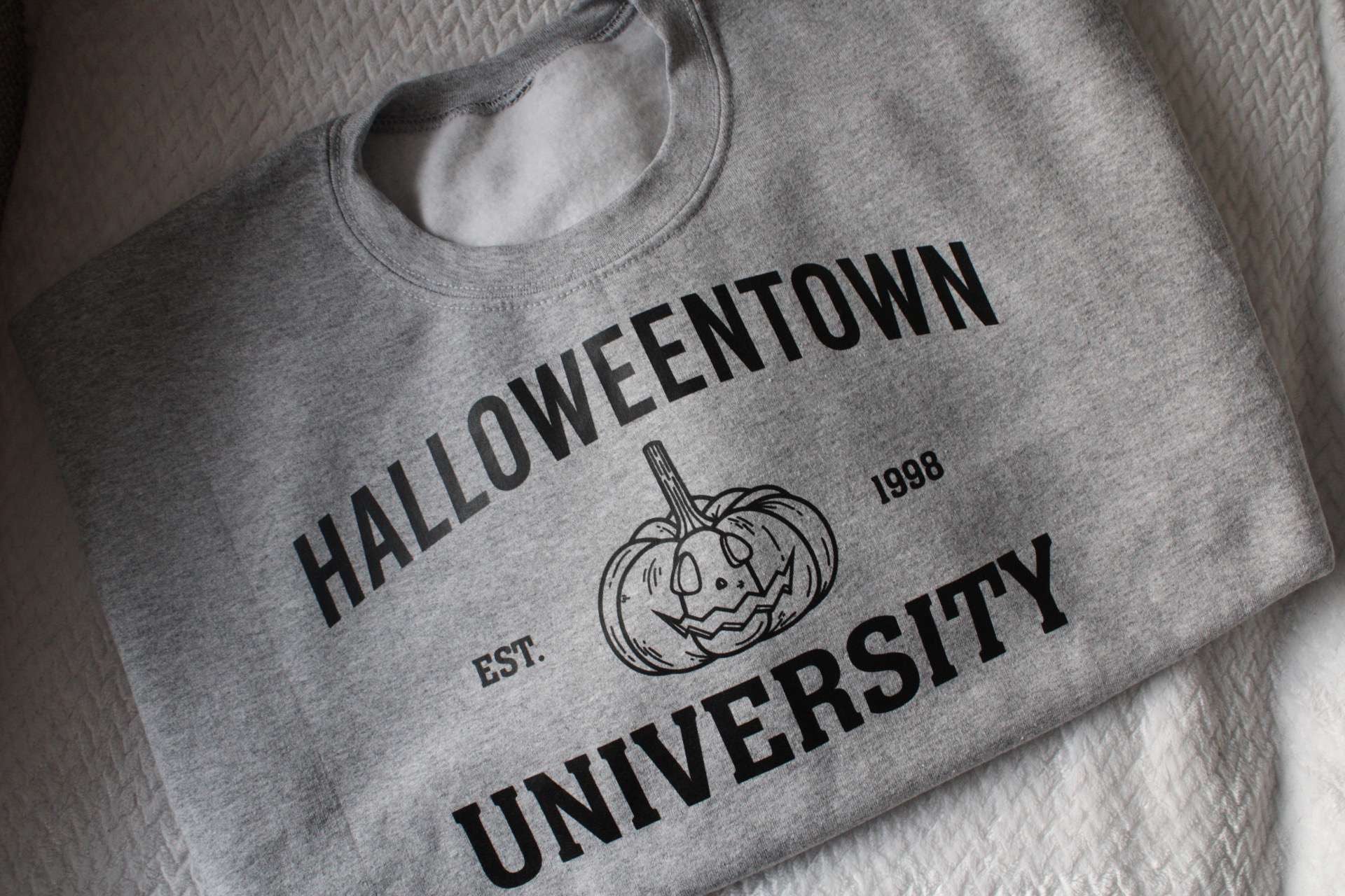 Halloweentown University Boyshort Underwear